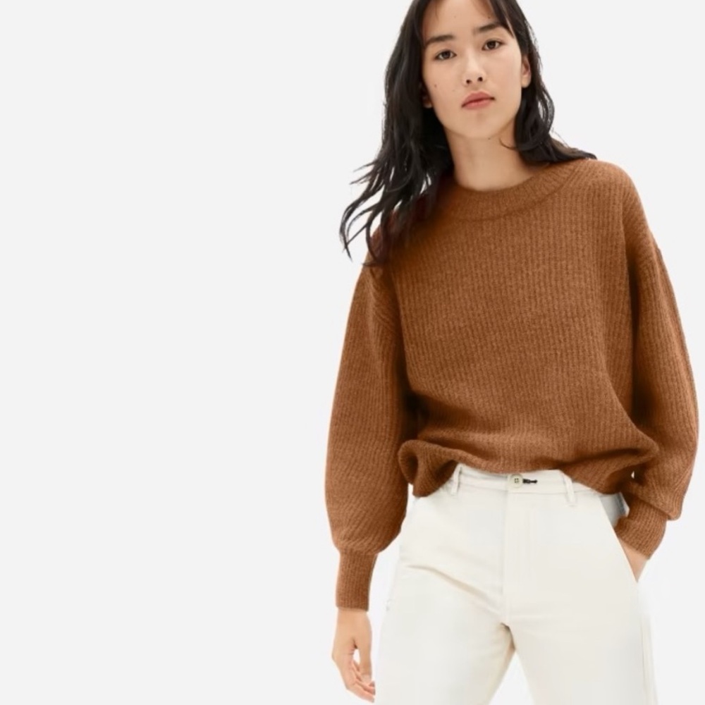 Everlane Oversized Alpaca Crew Sweater Dark Copper Rust XS